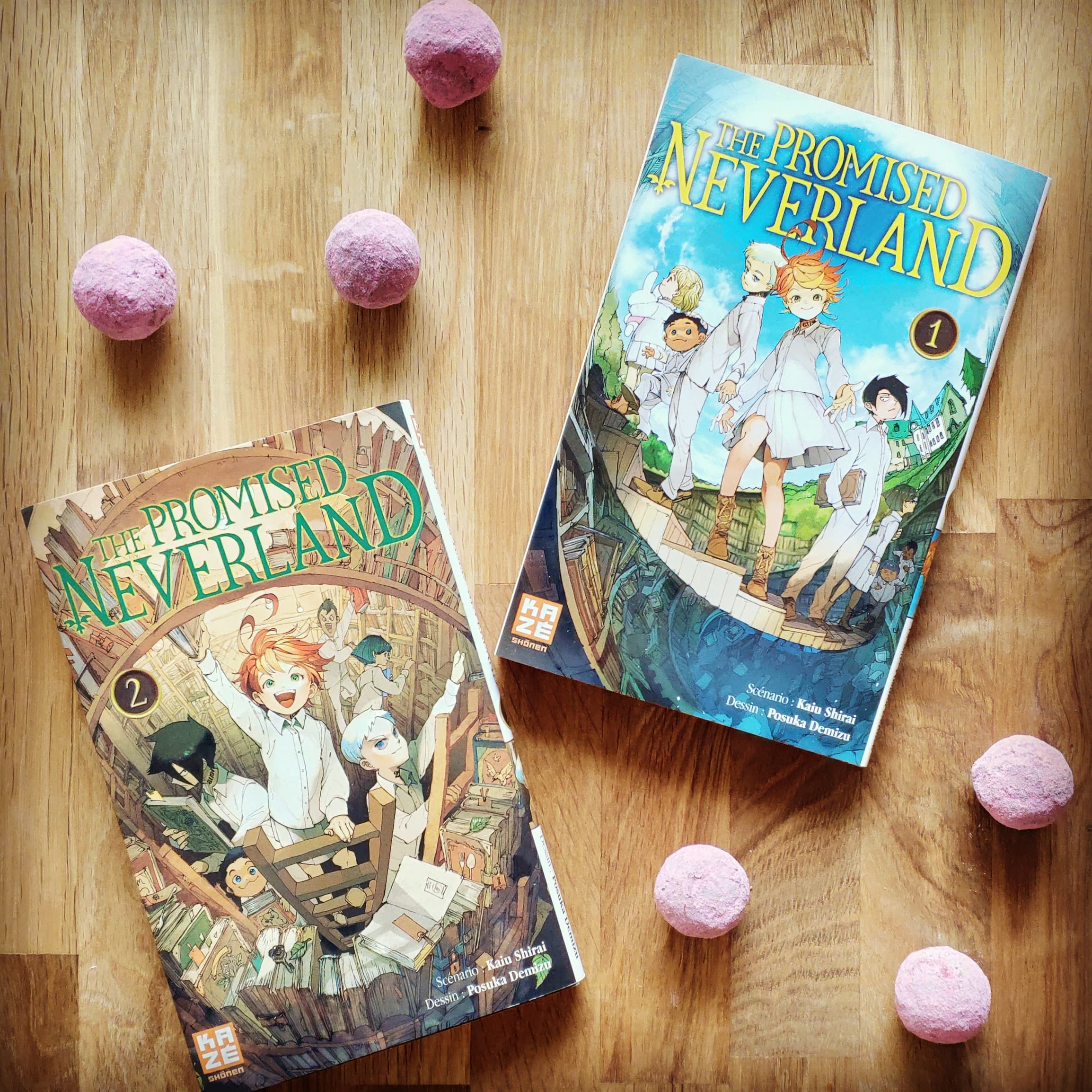 The promised neverland