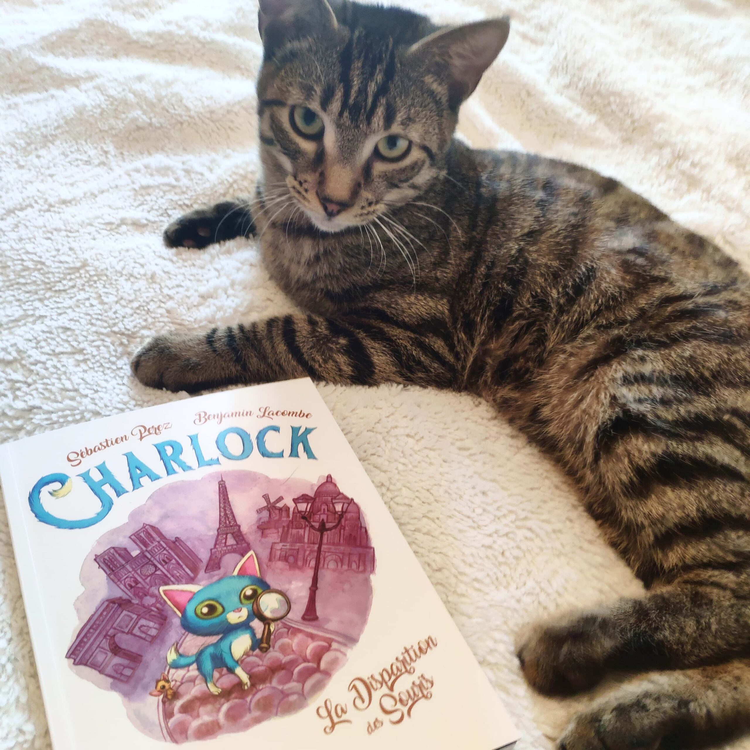 Charlock