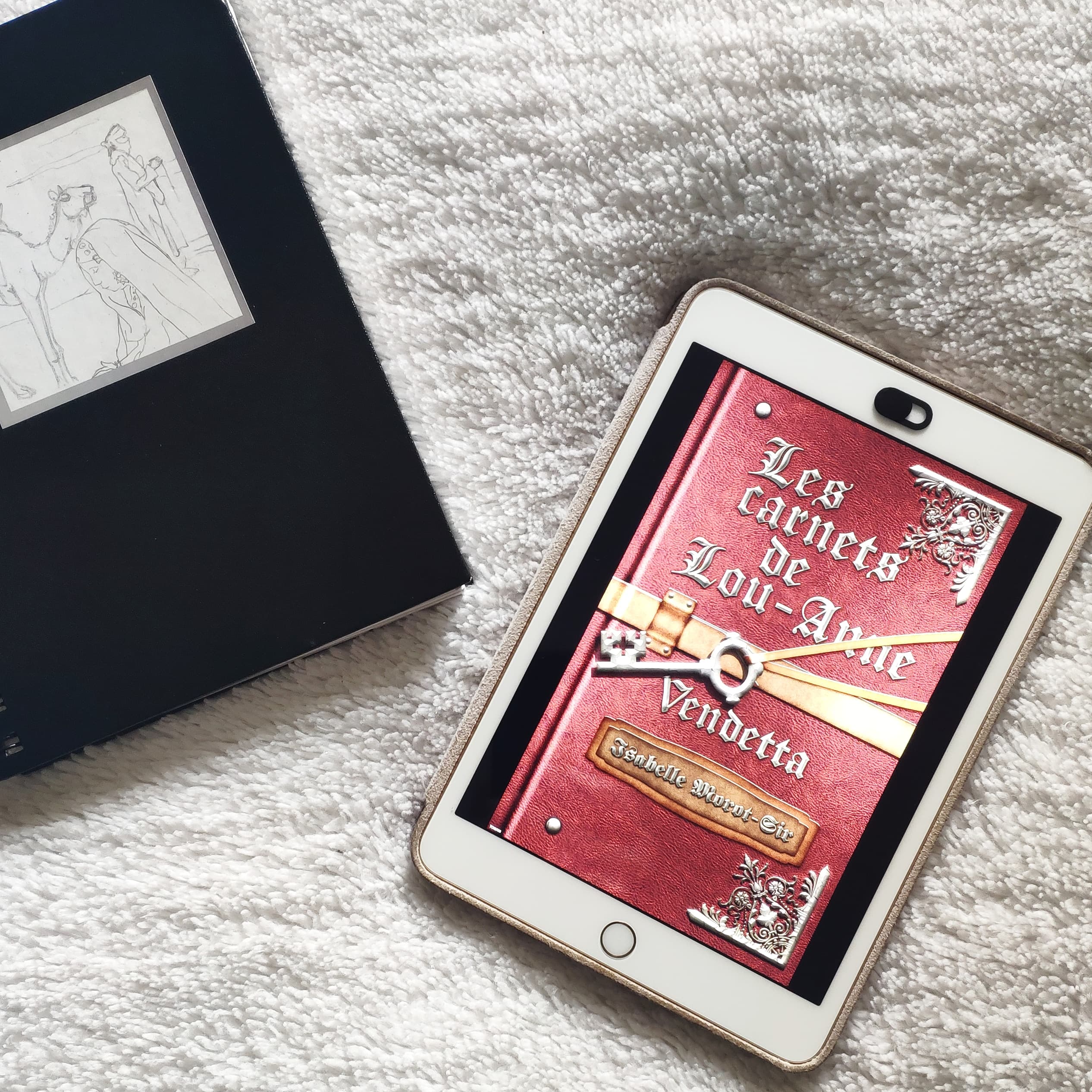 Les carnets de Lou-Anne tome 3