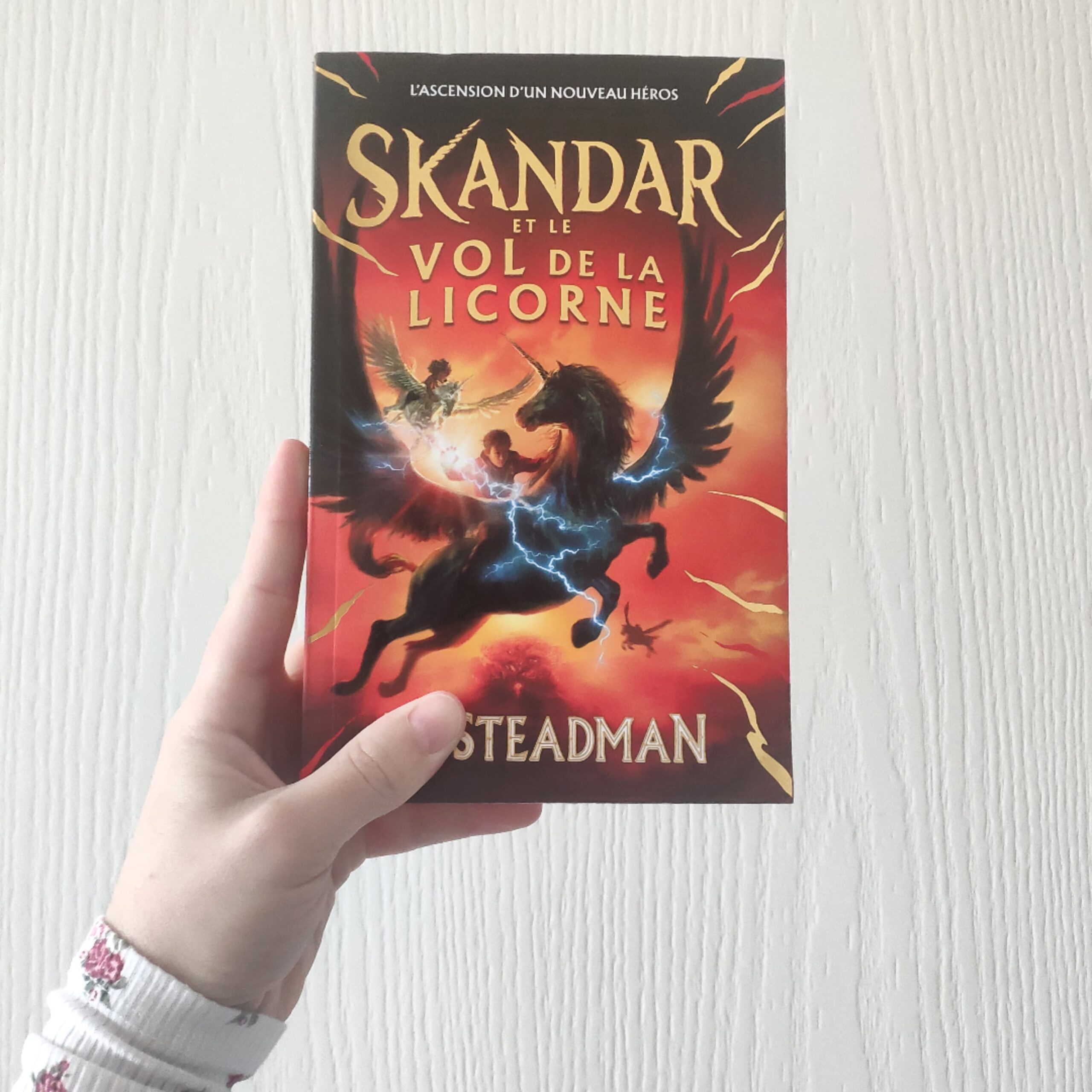 Skandar et le vol de la licorne