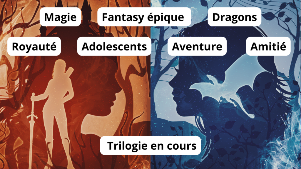 La Laïsha, trilogie de fantasy, thèmes tropes